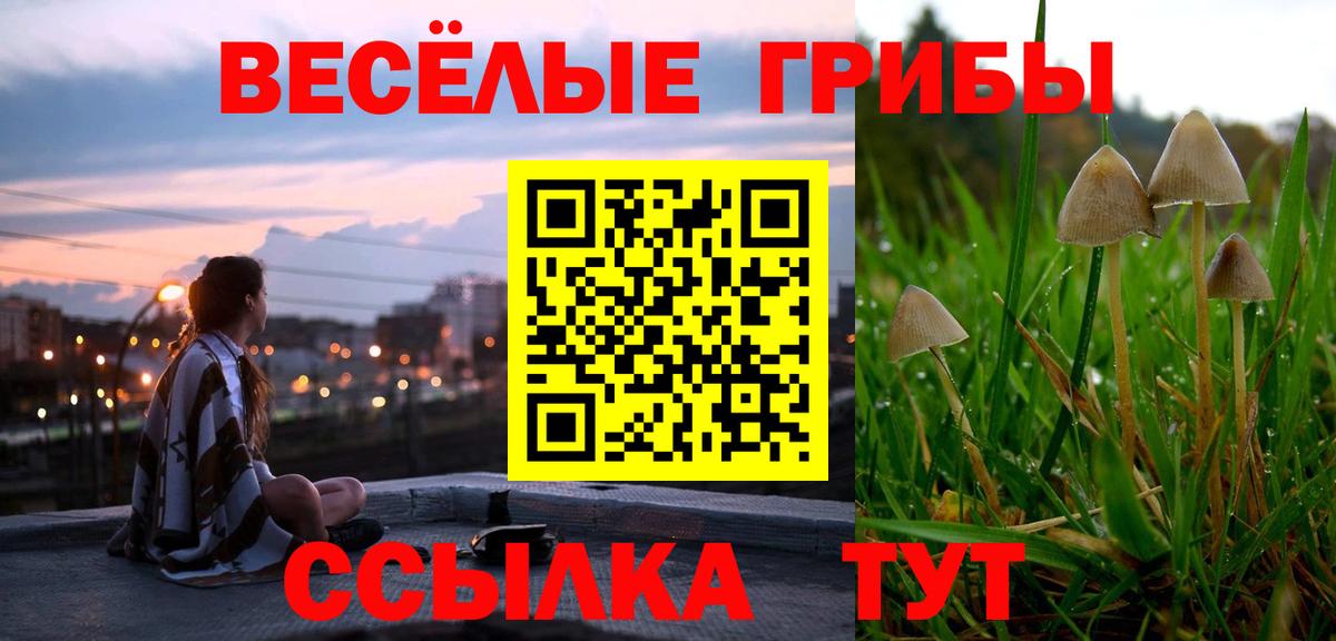 Псилоцибиновые грибы Cubensis  Вход с VPN  Ставрополь 